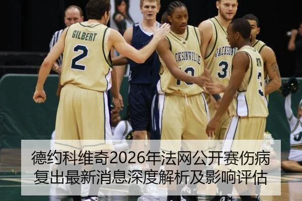 德约科维奇2026年法网公开赛伤病复出最新消息深度解析及影响评估